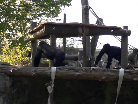 20180920105841-181003-0_pl