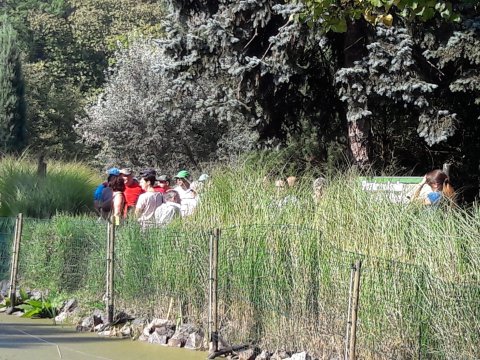 20180920110042-181003-0_pl