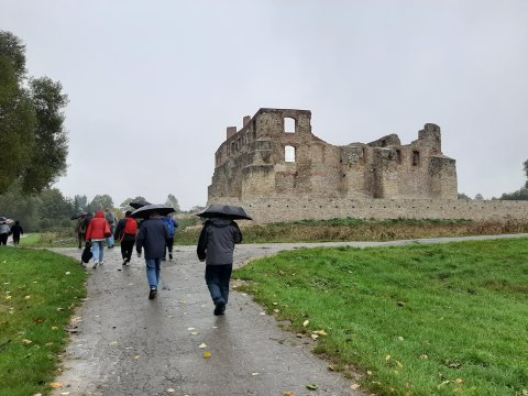 20201012091410-210514-0_pl