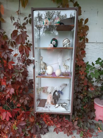 20201012123612-210514-0_pl