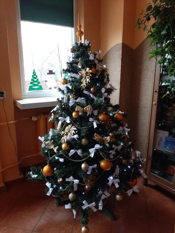 20201209093314-201210-0_pl