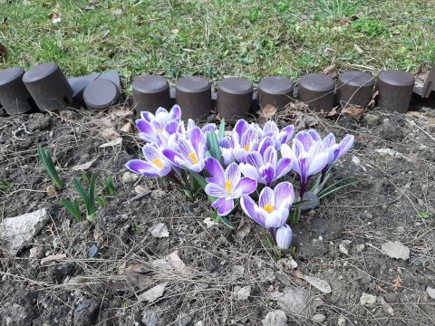 20210330133848-210407-0_pl