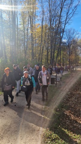 IMG-20241021-WA0032_pl