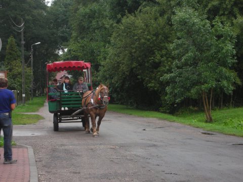 dscn2646-170917-0_pl